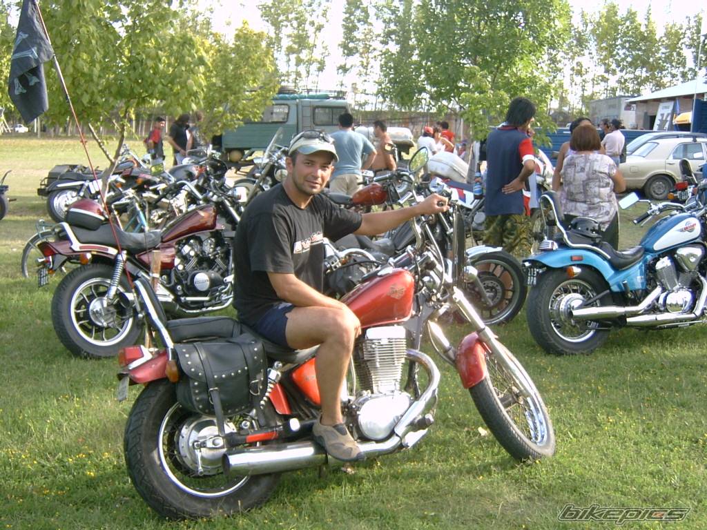 1990 SUZUKI SAVAGE | Picture 332677 motorcycle photo