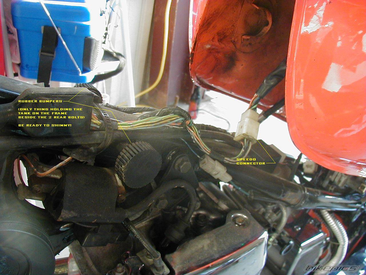1998 SUZUKI SAVAGE | Picture 332734 motorcycle photo