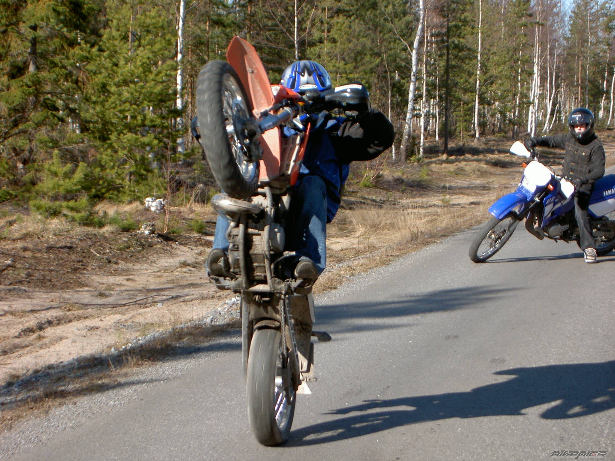 2001 KTM 125 EXC | Picture 333004 motorcycle photo