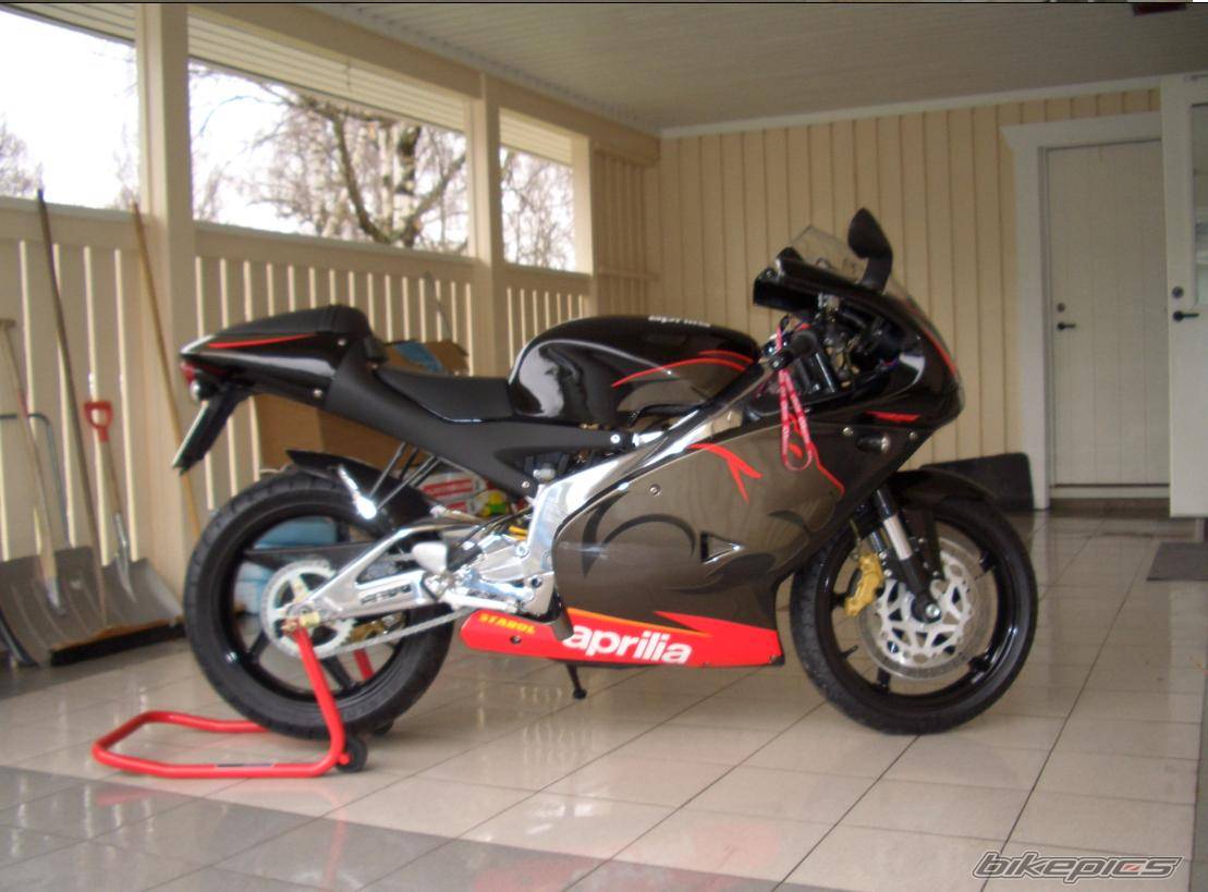 2005 APRILIA RS 125 | Picture 333093 motorcycle photo