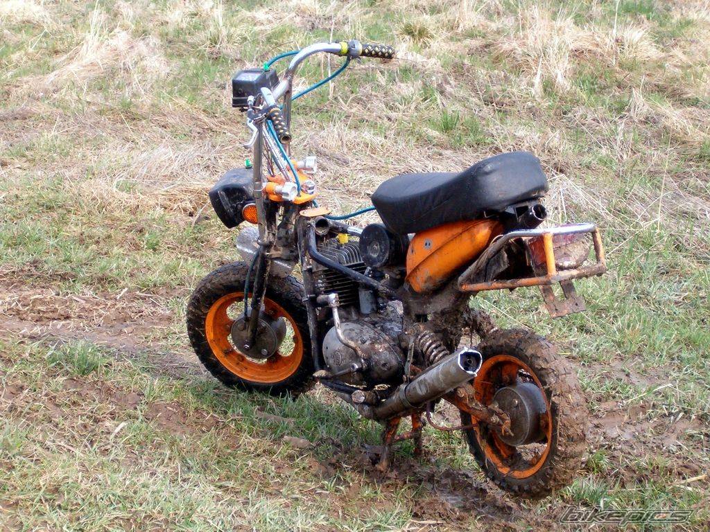 2004 WSK STELLA 125 | Picture 333127 motorcycle photo