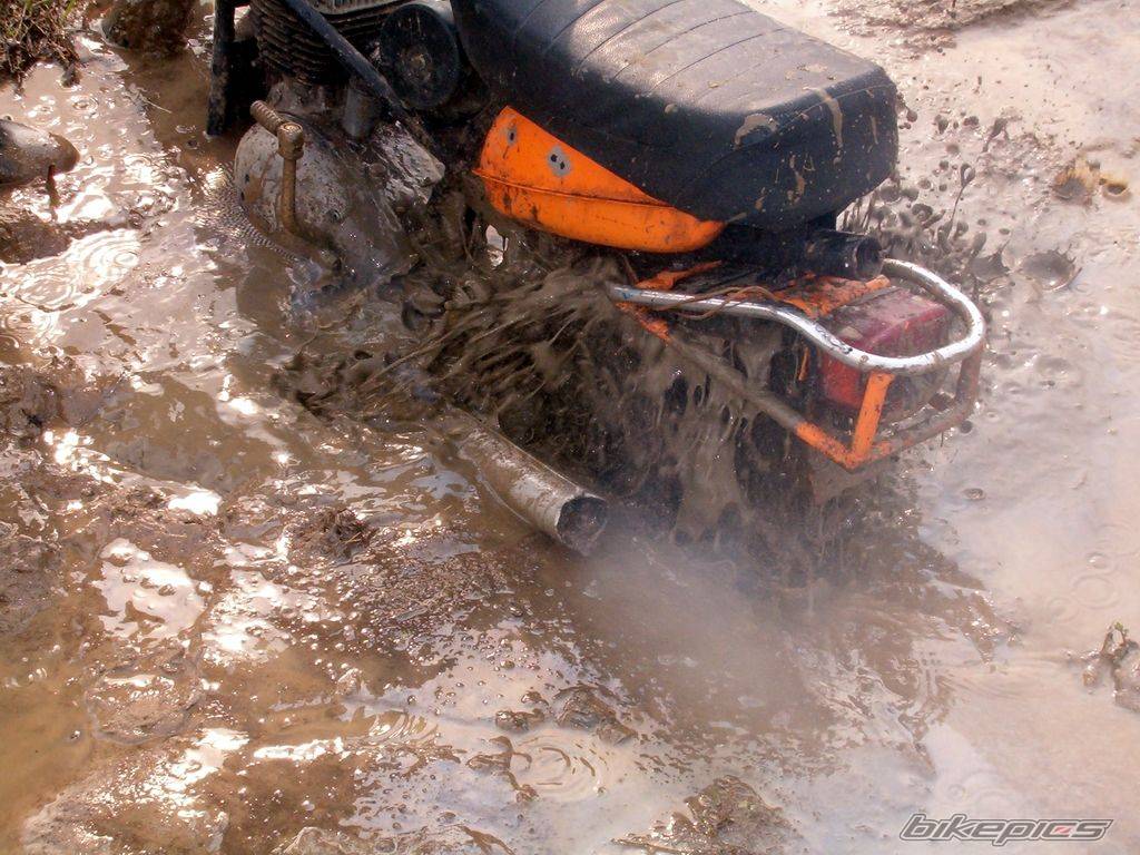 2004 WSK STELLA 125 | Picture 333134 motorcycle photo