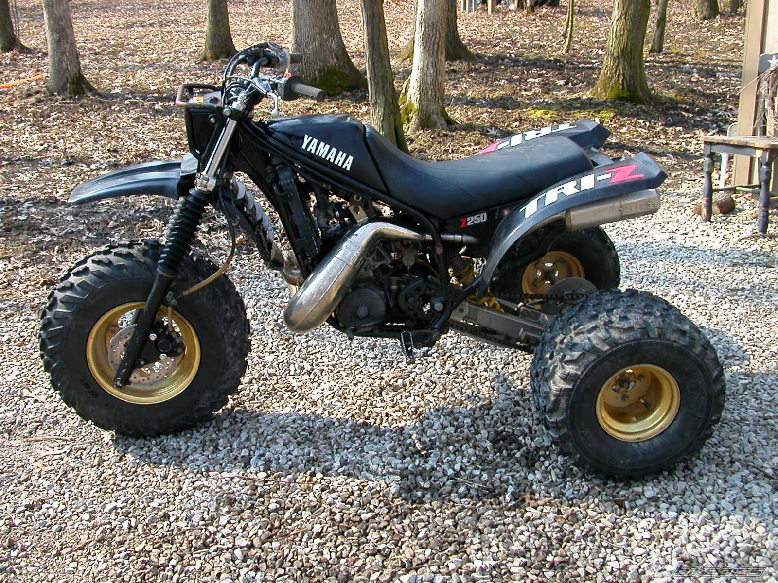 1985 YAMAHA TRI Z 250 | Picture 333590 motorcycle photo