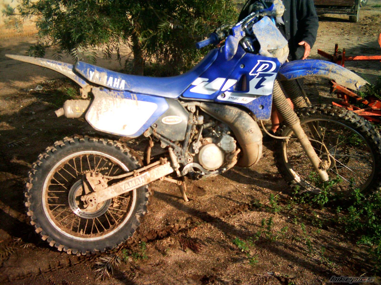 2001 YAMAHA DT 125 | Picture 333766 motorcycle photo