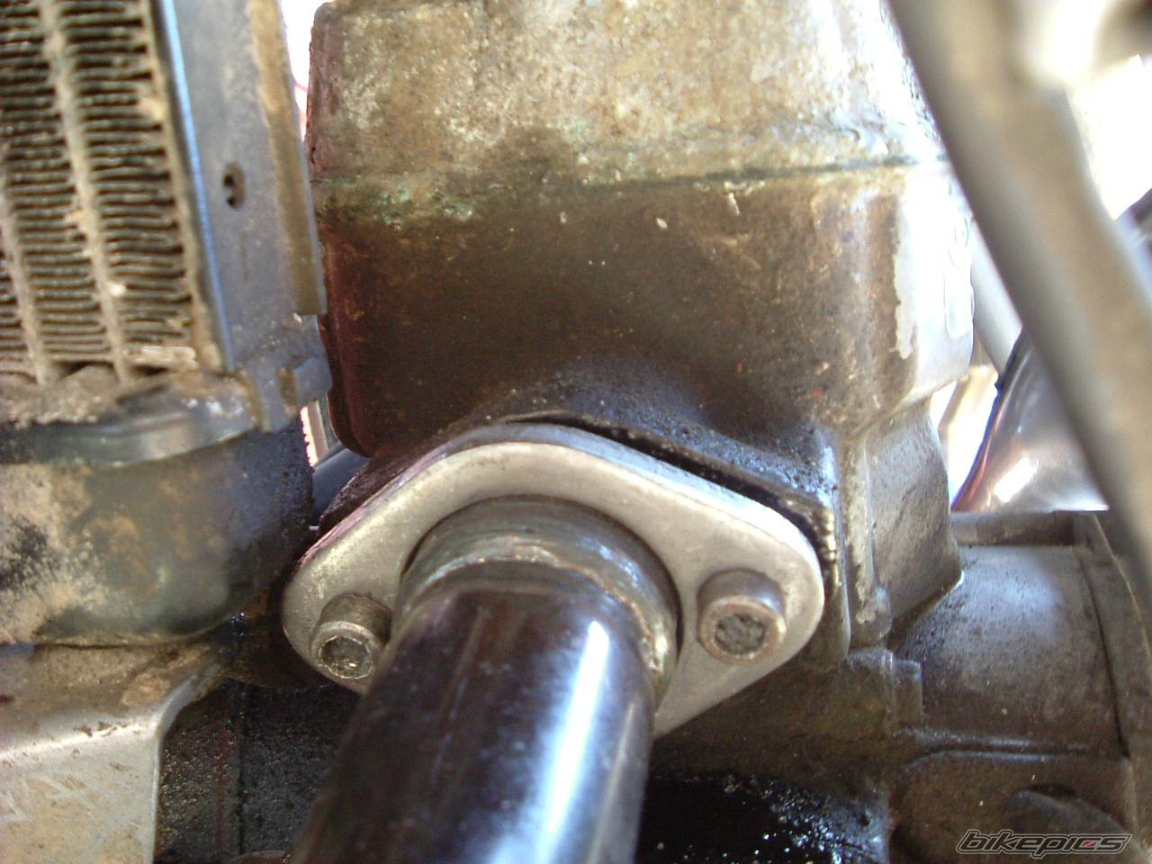 1999 DERBI SENDA R 50 | Picture 333853 motorcycle photo