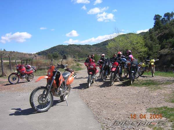2004 KTM 450 EXC | Picture 334021 motorcycle photo