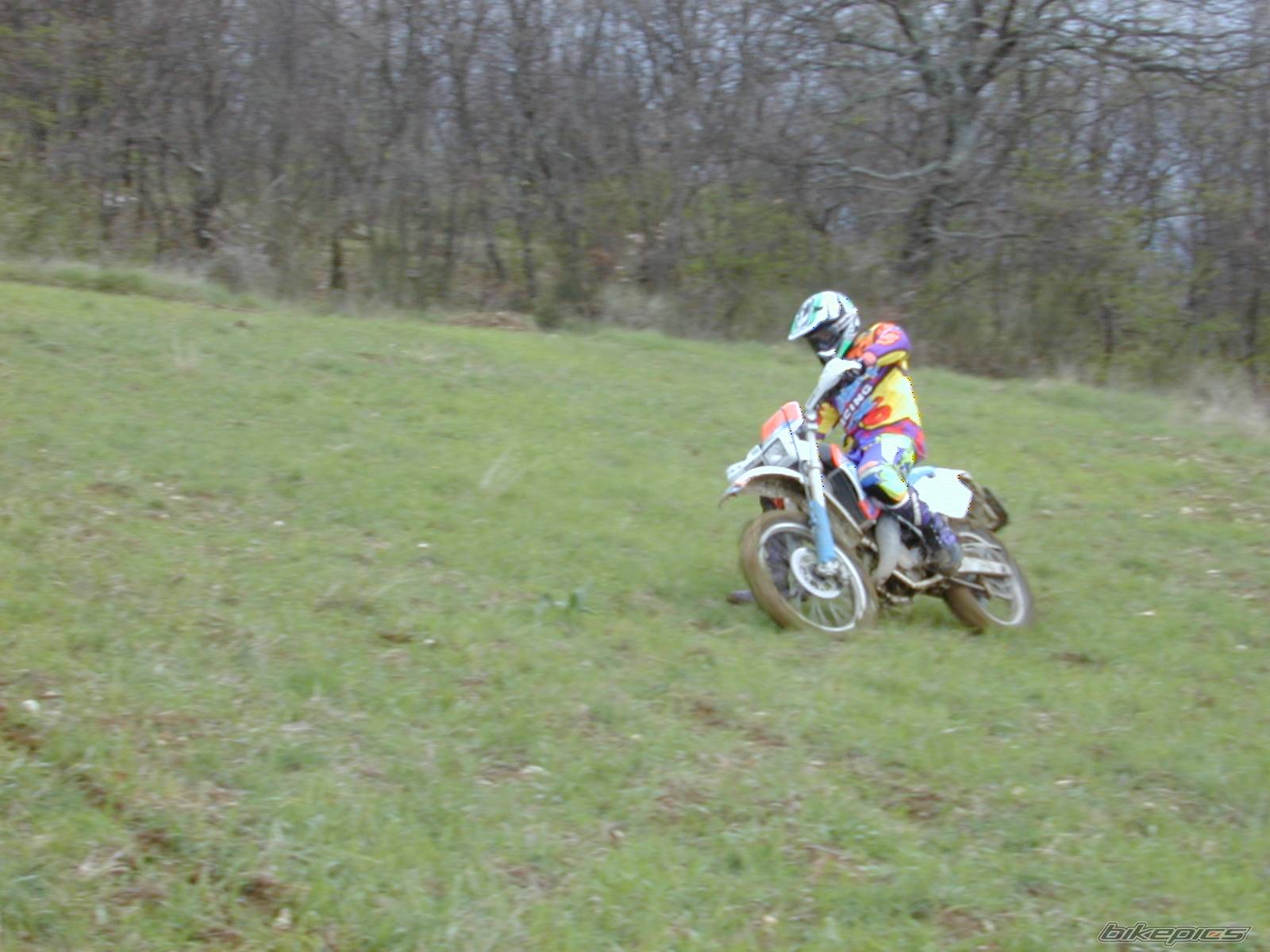 1996 HUSQVARNA WRE 125 | Picture 334263 motorcycle photo