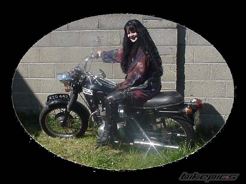 1969 TRIUMPH TIGER | Picture 334635 motorcycle photo