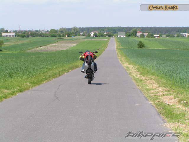 2002 GILERA RUNNER 50 | Picture 334696 motorcycle photo