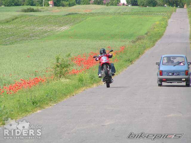 2002 GILERA RUNNER 50 | Picture 334700 motorcycle photo