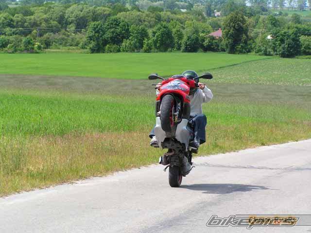 2002 GILERA RUNNER 50 | Picture 334706 motorcycle photo