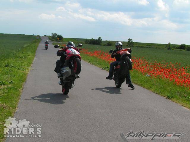 2002 GILERA RUNNER 50 | Picture 334707 motorcycle photo