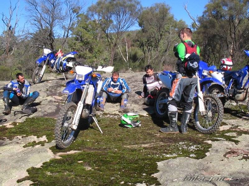 2003 YAMAHA WR450 | Picture 334758 motorcycle photo