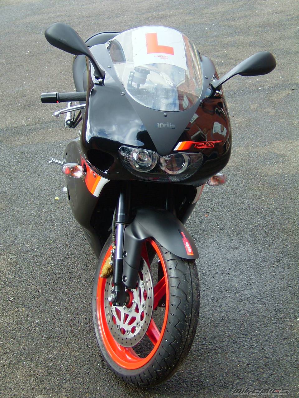 2005 APRILIA RS 125 | Picture 334865 motorcycle photo