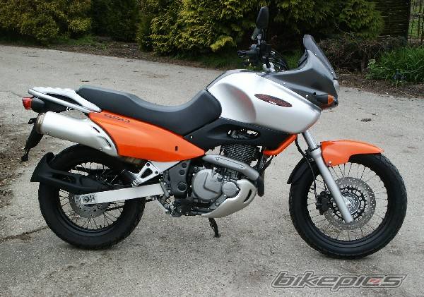1998 SUZUKI XF 650 | Picture 335127 motorcycle photo
