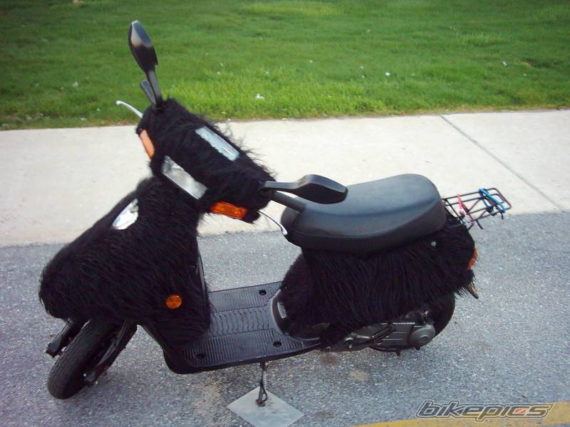 2001 QINGQI PANDA CUB 50 | Picture 336043 motorcycle photo