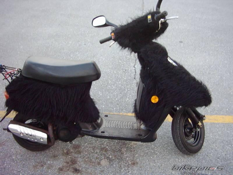 2001 QINGQI PANDA CUB 50 | Picture 336050 motorcycle photo