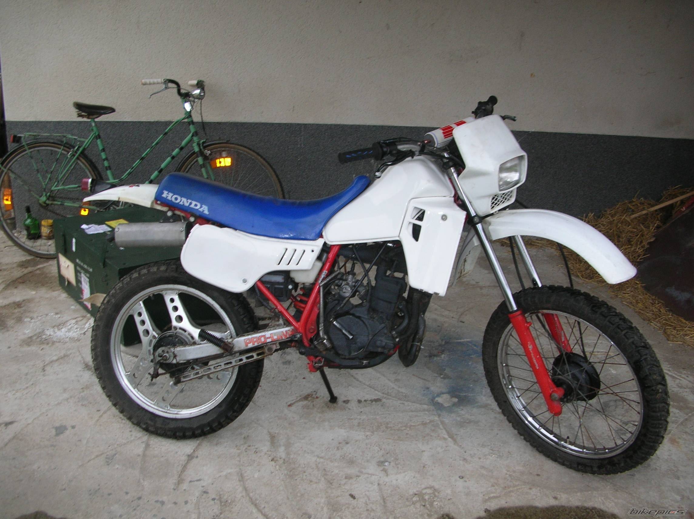 1986 HONDA MTX 50 | Picture 336540 motorcycle photo