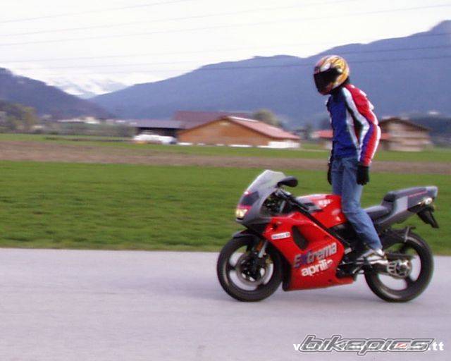 1994 APRILIA RS 50 | Picture 33692 motorcycle photo