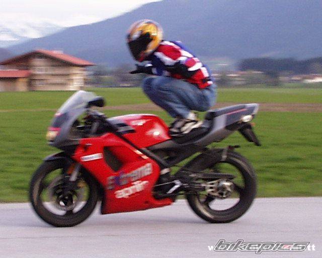 1994 APRILIA RS 50 | Picture 33694 motorcycle photo
