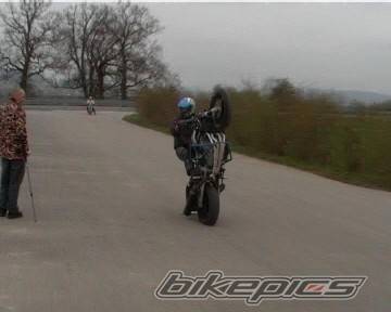 1992 HONDA CBR 900 | Picture 336969 motorcycle photo