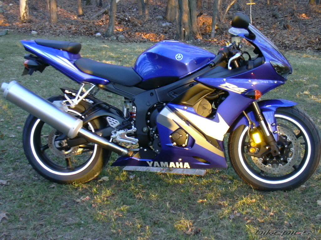 2005 YAMAHA YZF R6 | Picture 337134 motorcycle photo