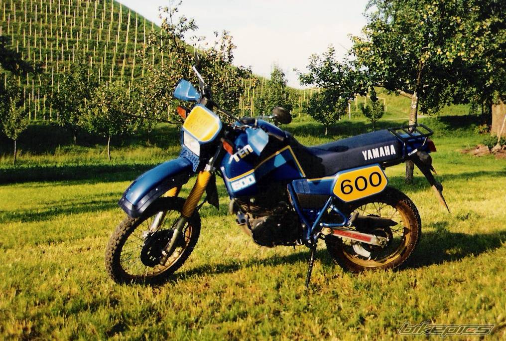 1986 YAMAHA XT 600 | Picture 337263 motorcycle photo