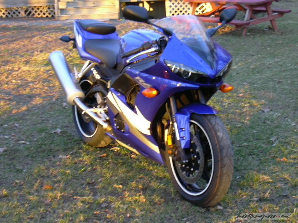 2005 YAMAHA YZF R6 | Picture 337315 motorcycle photo