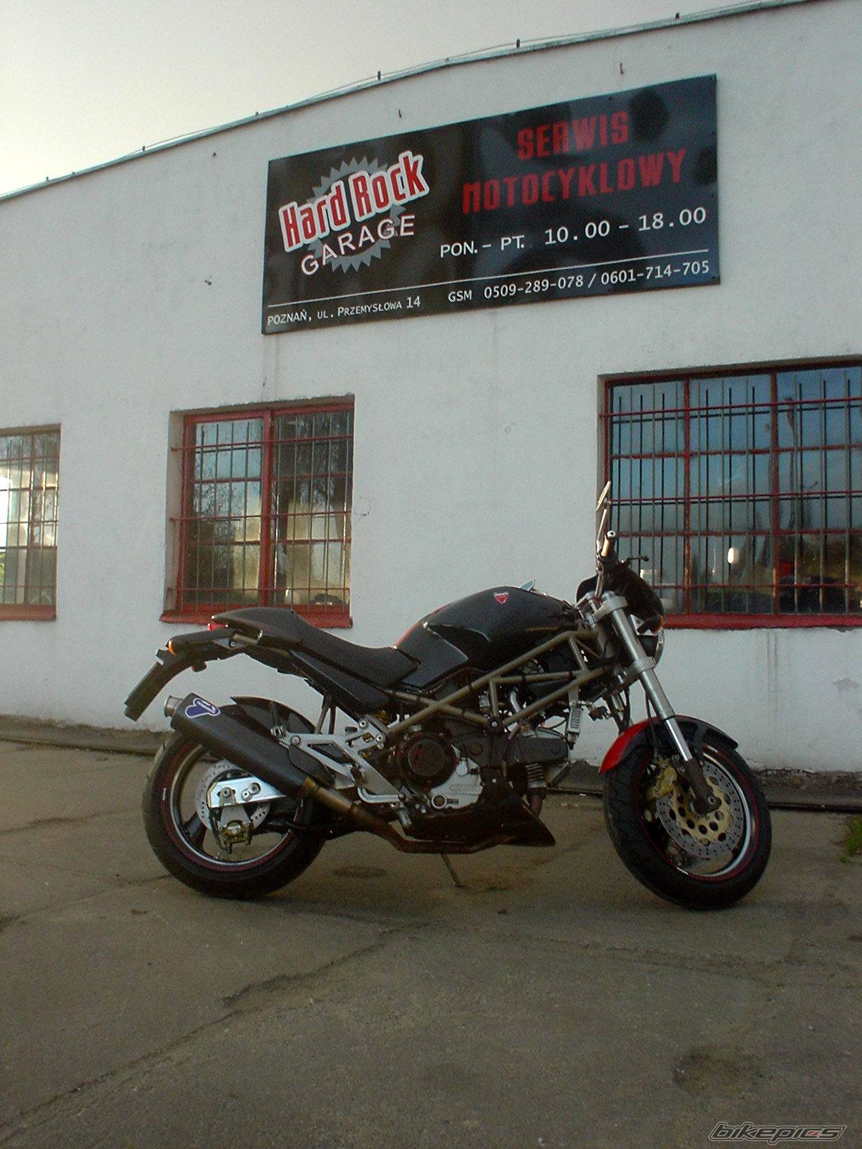 1998 DUCATI MONSTER 900 | Picture 337921 motorcycle photo
