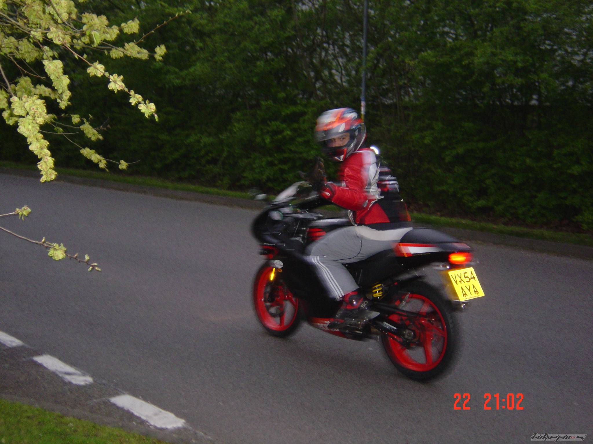 2005 APRILIA RS 50 | Picture 338123 motorcycle photo