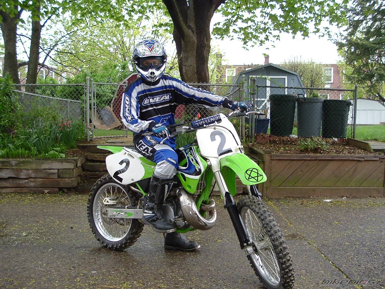1999 KAWASAKI KX 250 | Picture 338304 motorcycle photo