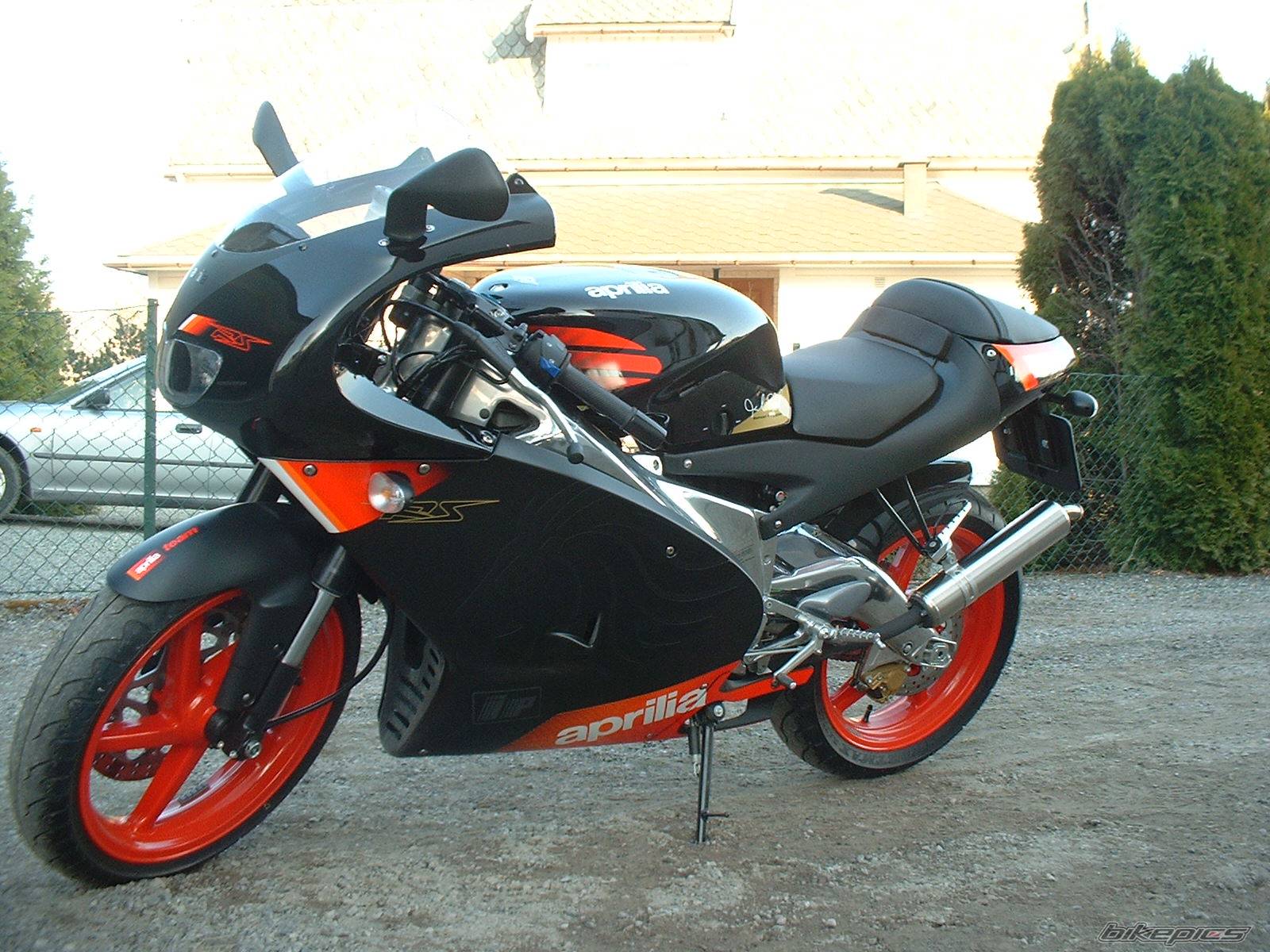 2005 APRILIA RS 125 | Picture 338497 motorcycle photo
