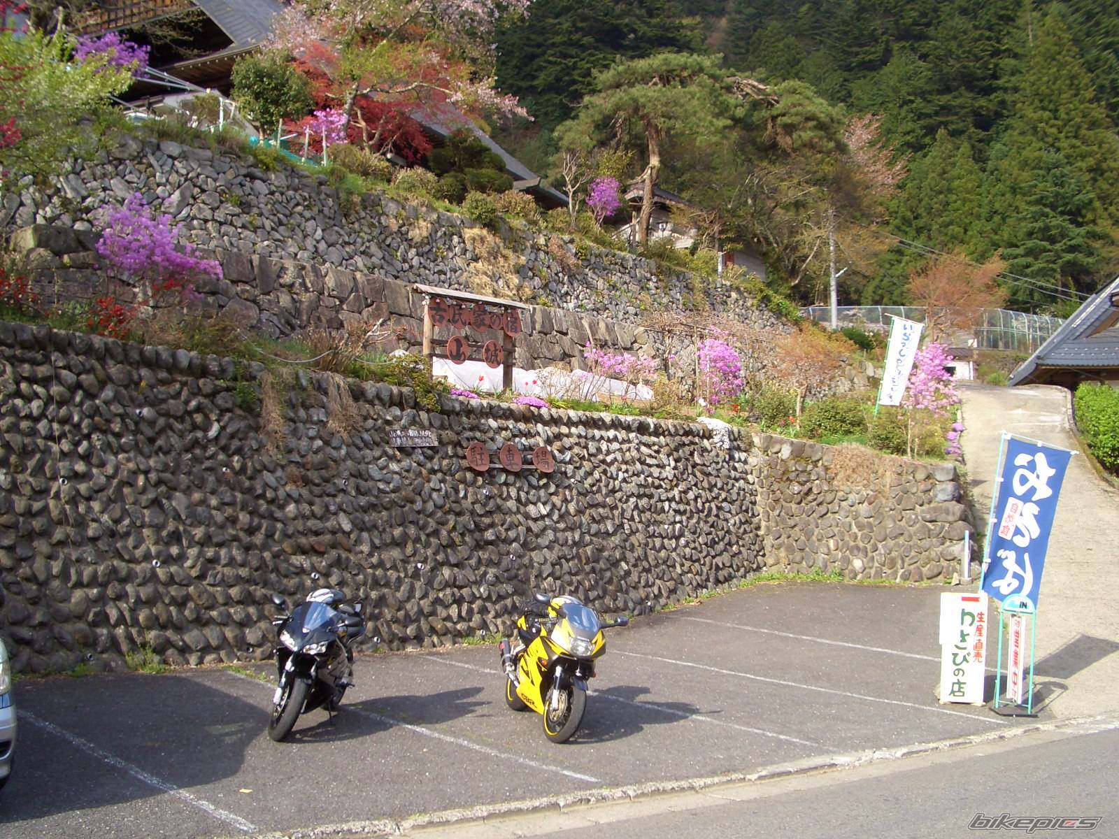 1997 HONDA CBR 600 | Picture 338890 motorcycle photo