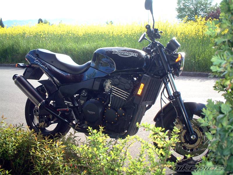 1995 TRIUMPH SPEED TRIPLE | Picture 339141 motorcycle photo