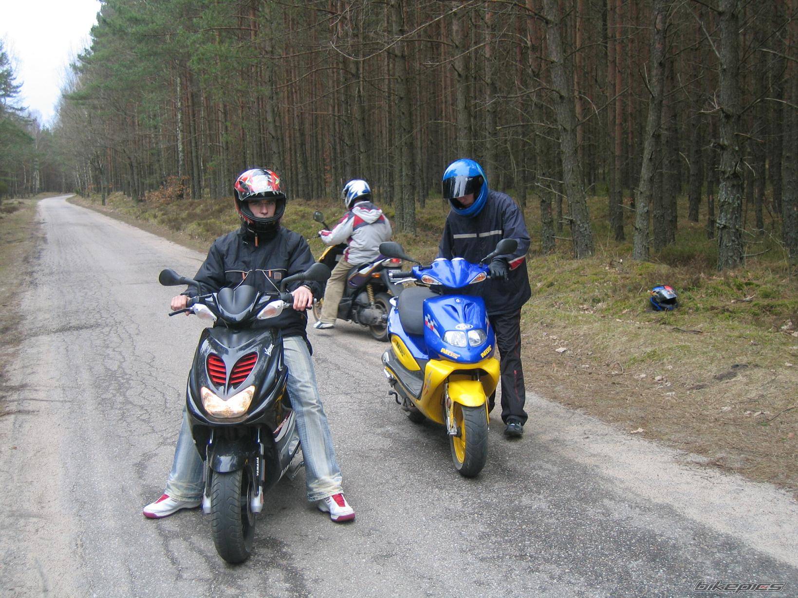 2003 TGB 303 RS | Picture 339146 motorcycle photo