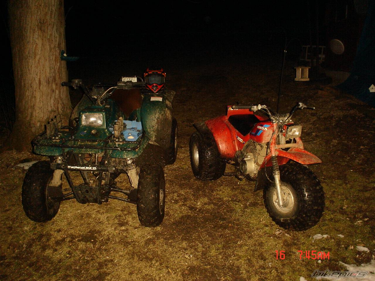 1999 POLARIS XPLORER 400 | Picture 339567 motorcycle photo