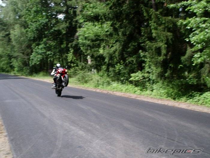 2003 YAMAHA YZF R6 | Picture 339587 motorcycle photo