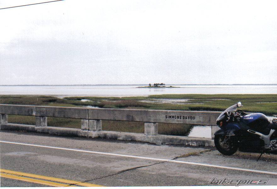 2002 SUZUKI HAYABUSA | Picture 339658 motorcycle photo