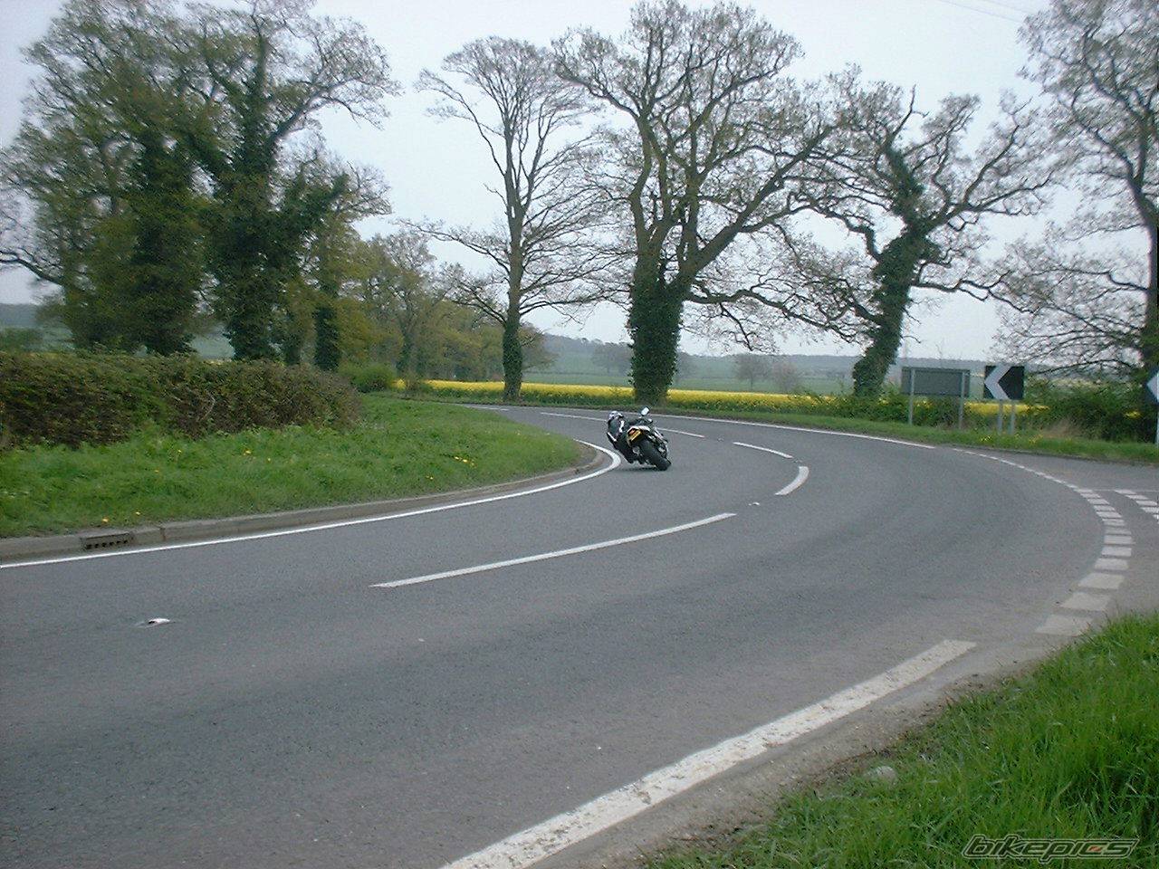 2005 SUZUKI GSX R 600 | Picture 340119 motorcycle photo