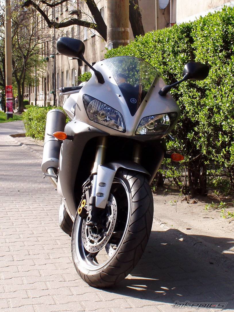 2003 YAMAHA YZF R1 | Picture 340134 motorcycle photo