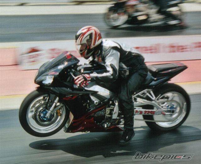 2003 YAMAHA YZF R1 | Picture 340710 motorcycle photo