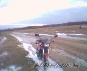 1992 HONDA NS 125 | Picture 341008 motorcycle photo
