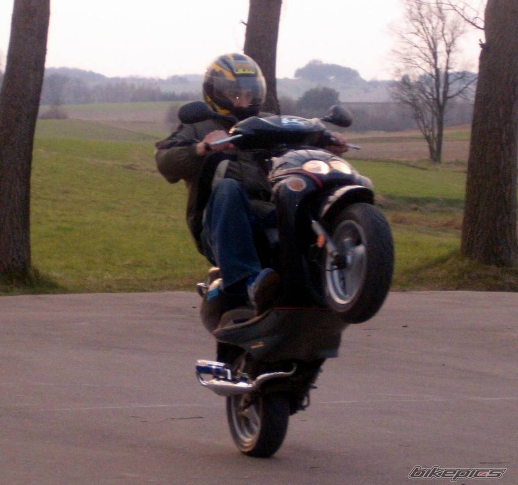 2002 YAMAHA NEOS | Picture 341775 motorcycle photo