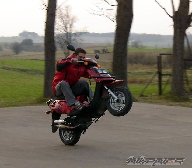 2002 TGB ORION 101 S | Picture 341778 motorcycle photo