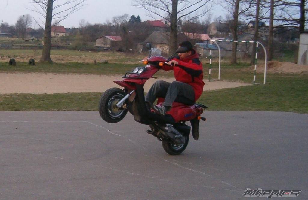 2002 TGB ORION 101 S | Picture 341780 motorcycle photo