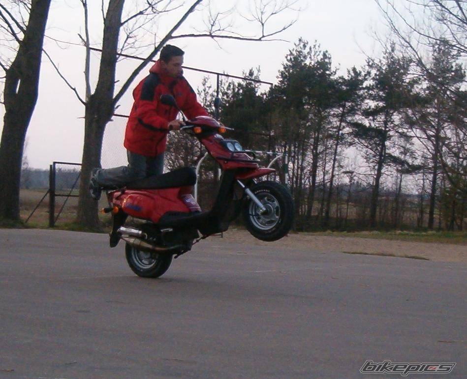 2002 TGB ORION 101 S | Picture 341783 motorcycle photo