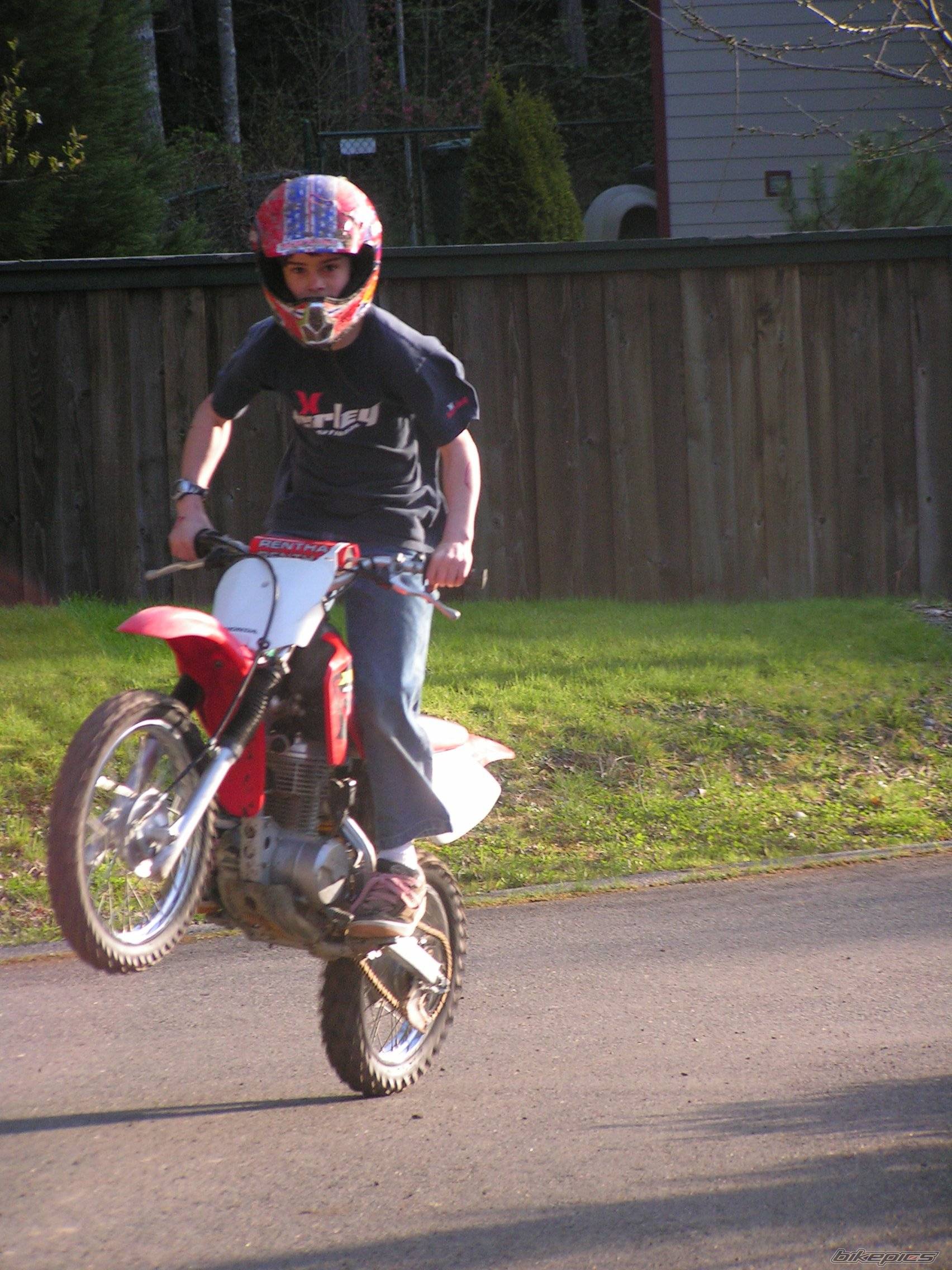 2004 HONDA XR 80 | Picture 342045 motorcycle photo