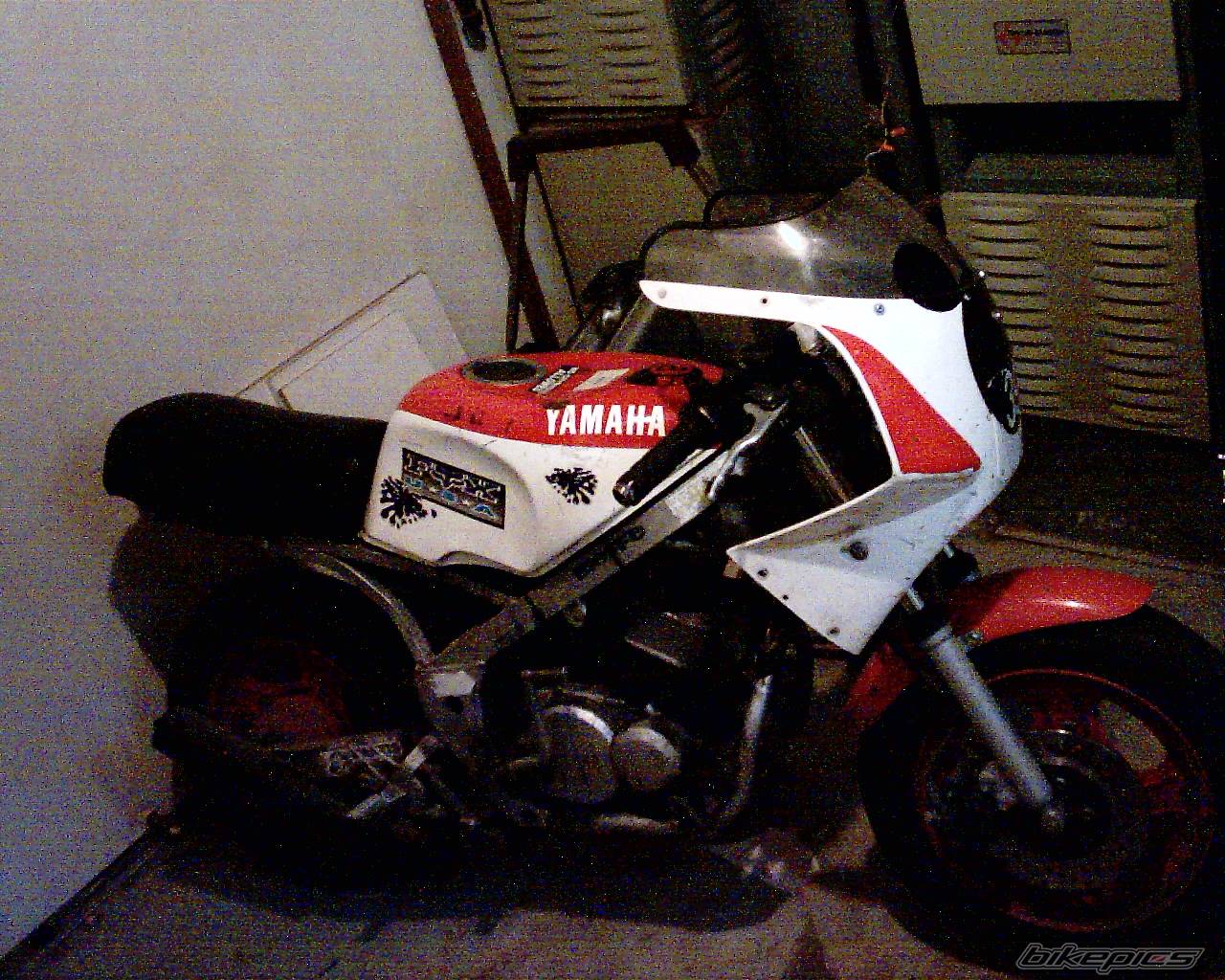 1989 YAMAHA YSR 50 | Picture 342355 motorcycle photo