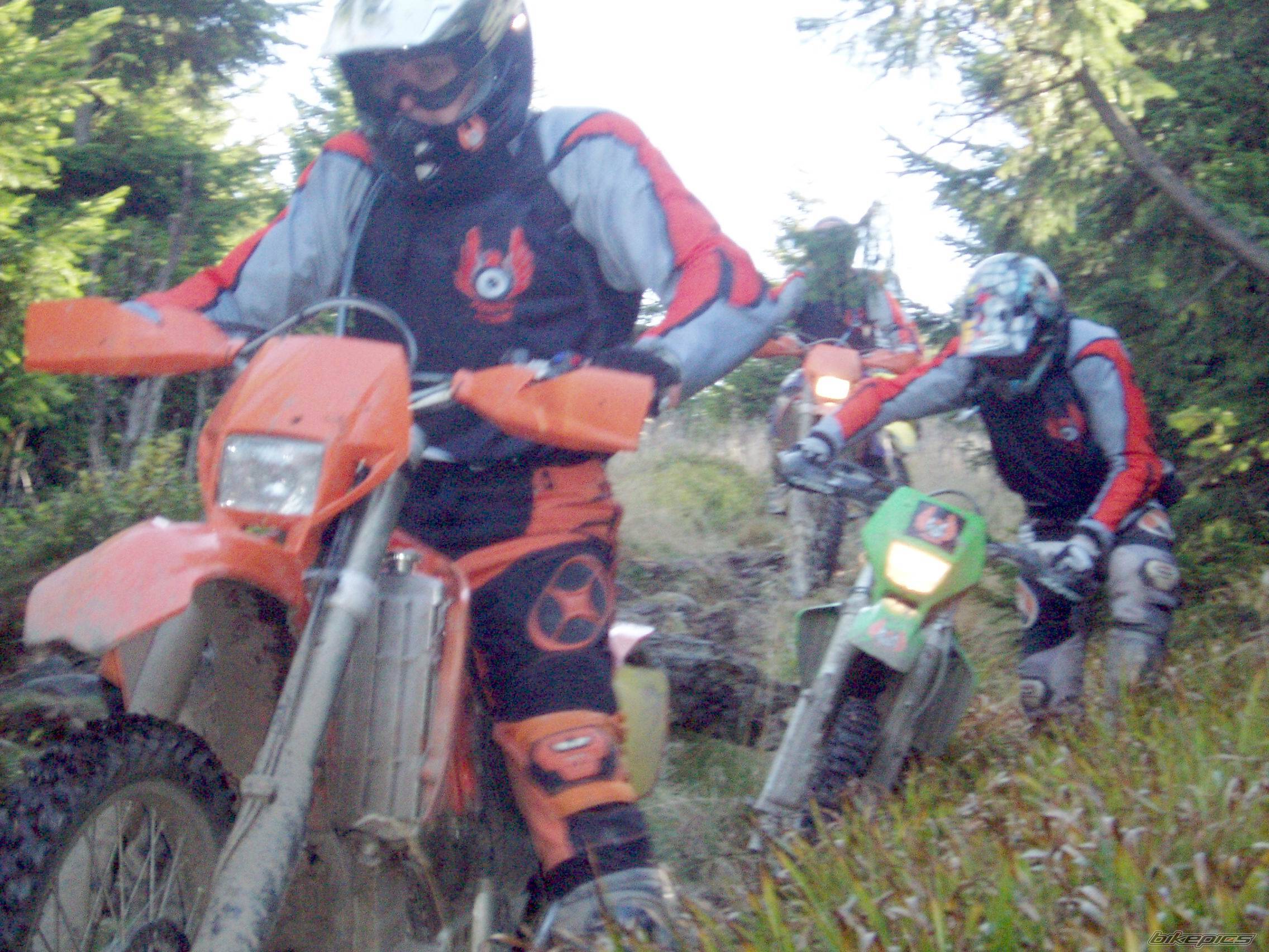 2004 KTM 450 EXC | Picture 342385 motorcycle photo