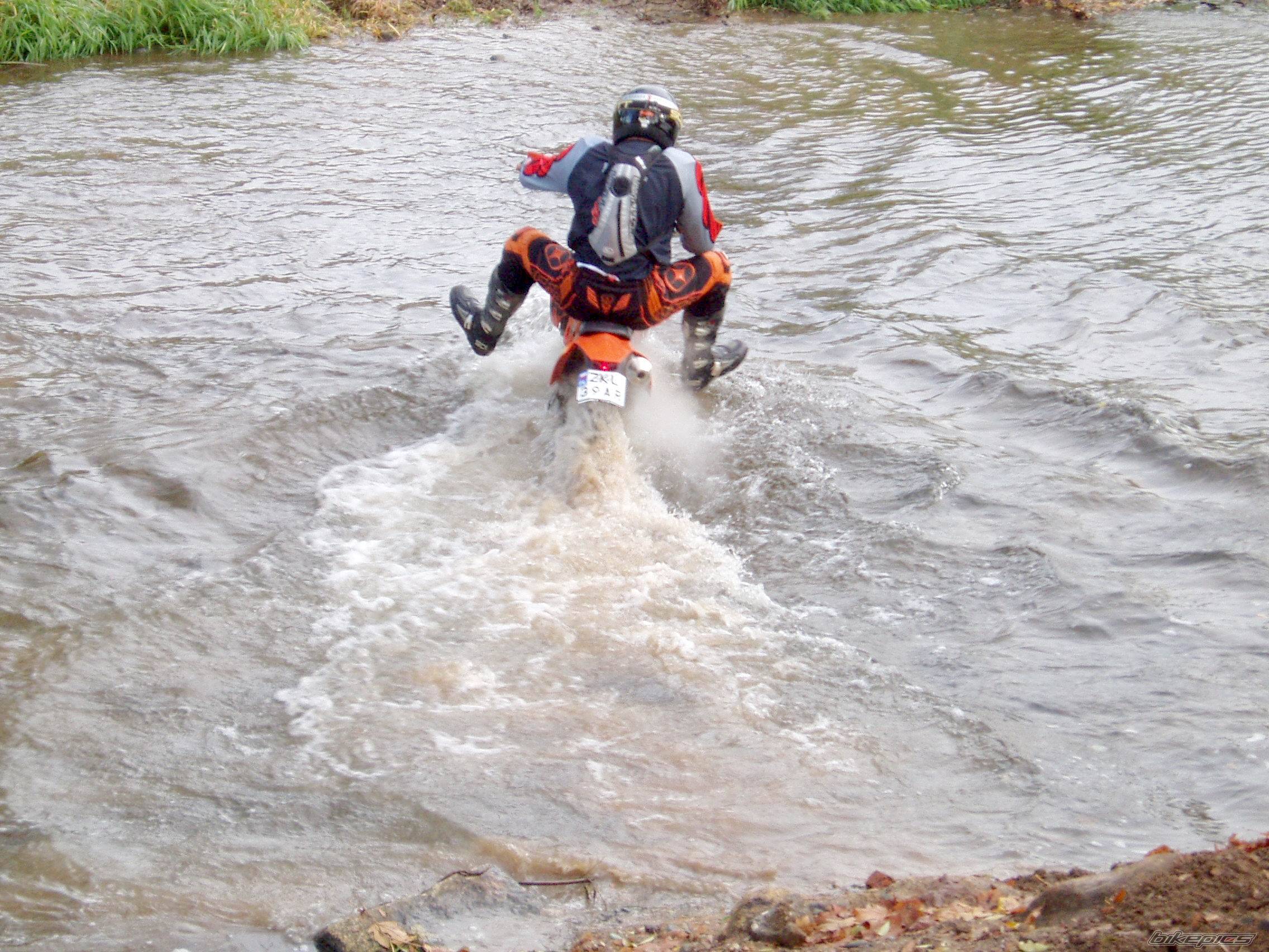 2004 KTM 450 EXC | Picture 342388 motorcycle photo